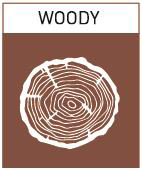 woody.png
